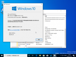 Windows10-10.0.19013.1122-Version.png