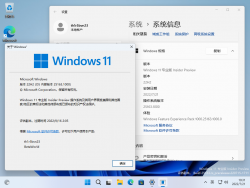 Windows 11-10.0.25163.1000-Version.png