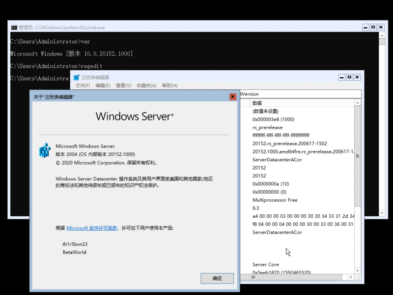 文件:Windows Server 2022-10.0.20152.1000-Version.png