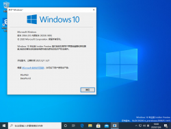Windows 10-10.0.20226.1000-Version.png