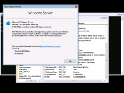 Windows Server v1903-10.0.18351.8-Version.png