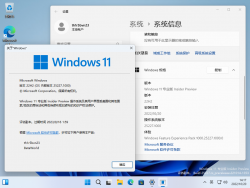 Windows 11-10.0.25227.1000-Version.png