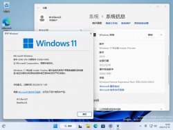 Windows 11-10.0.25262.1000-Version.png
