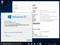 Windows 10-10.0.16299.19-Version.png