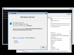 Windows Server v1909-10.0.18362.10005-Version.png