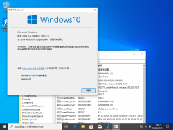 Windows10-10.0.19037.1-Version.png