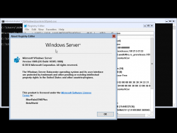Windows Server v1903-10.0.18305.1000-Version.png