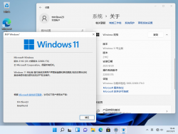Windows 11-10.0.22000.176-Version.png