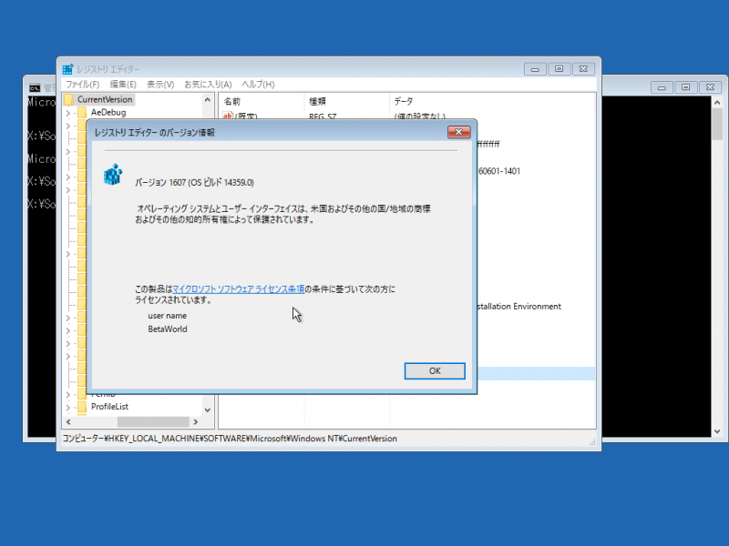 文件:Windows10-10.0.14359.0-Version.png