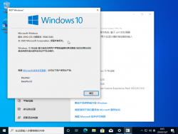 Windows 10-10.0.19042.546-Version.png