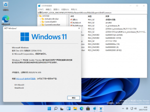 Windows 11-10.0.22504.1010-Version.png