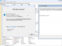 Windows Server Semi-Annual Channel-10.0.18362.10022-Version.png