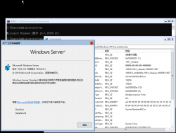 Windows Server Semi-Annual Channel-10.0.18356.21-Version.png