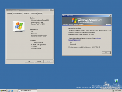 Windows Server 2003-5.2.3790.1218 dnsrv idx01-Version.png