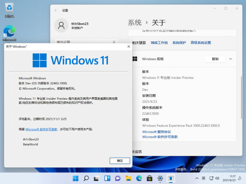 文件:Windows 11-10.0.22463.1000-Version.png