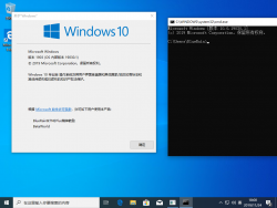 Windows10-10.0.19030.1-Version.png