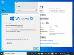 Windows 10-10.0.19045.2130-Version.png