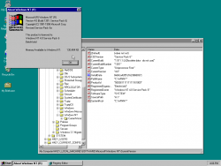 Windows NT 4.0-4.0.1381.335a-English-i386-Version.png