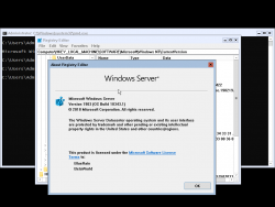 Windows Server v1903-10.0.18343.1-Version.png
