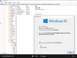 Windows 10 Team-10.0.19042.572-Version.png