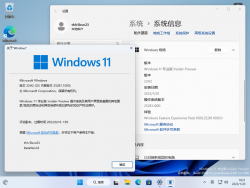 Windows 11-10.0.25281.1000-Version.png