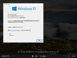Windows 10 Team-10.0.19101.1120-Version.png