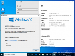 Windows10-10.0.18970.1001-Version.png