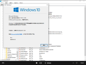 Windows 10 Team-10.0.19101.1125-Version.png