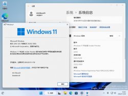 Windows 11-10.0.25252.1000-Version.png