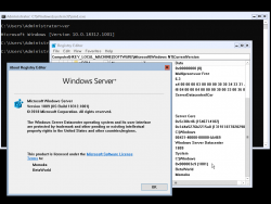 Windows Server 2019-10.0.18312.1001-Version.png