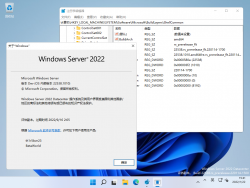 Windows Server Nickel-10.0.22538.1010-Version.png