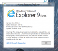 Internet Explorer版本截图