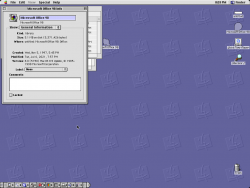 Office98Mac-8.0.5730-Version.png