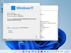 Windows 11-10.0.22000.51-Version.png