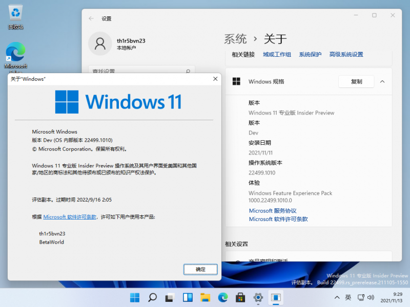 文件:Windows 11-10.0.22499.1010-Version.png