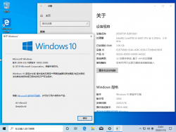 Windows10-10.0.19035.1000-Version.png