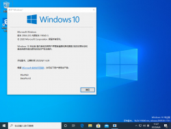 Windows 10-10.0.19640.1-Version.png
