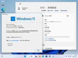 Windows 11-10.0.25158.1000-Version.png