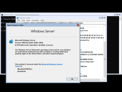 Windows Server v1903-10.0.18305.1003-Version.png