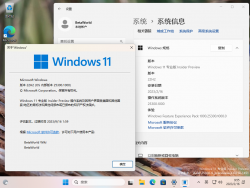 Windows 11-10.0.25300.1000-Version.png