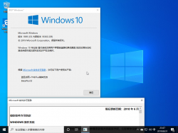 Windows10-10.0.18363.329-Version.png