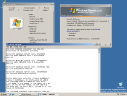 Windows Server 2003 Compute Cluster Edition-5.2.3790.1830-Version.png
