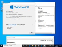 Windows10-10.0.18363.356-Version.png