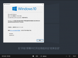 Windows 10 Team-10.0.19100.1008-Version.png
