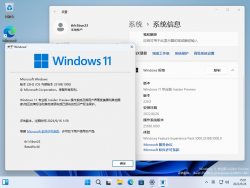 Windows 11-10.0.25188.1000-Version.png