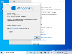 Windows 10-10.0.18337.1-Version.png