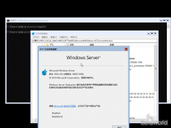 Windows Server 2019-10.0.18932.1000-Version.png