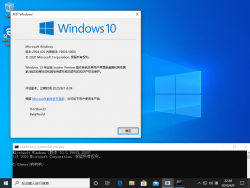 Windows 10 10.0.19603.1000 Version.png