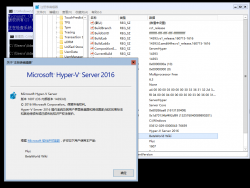 HVServer2016-10.0.14393.0-Version.png