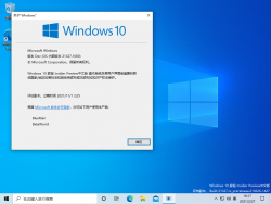 Windows 10-10.0.21327.1000-Version.png